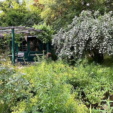 Design Ferienwohnung Mit Bauerngarten Waldkirchen Esterno foto