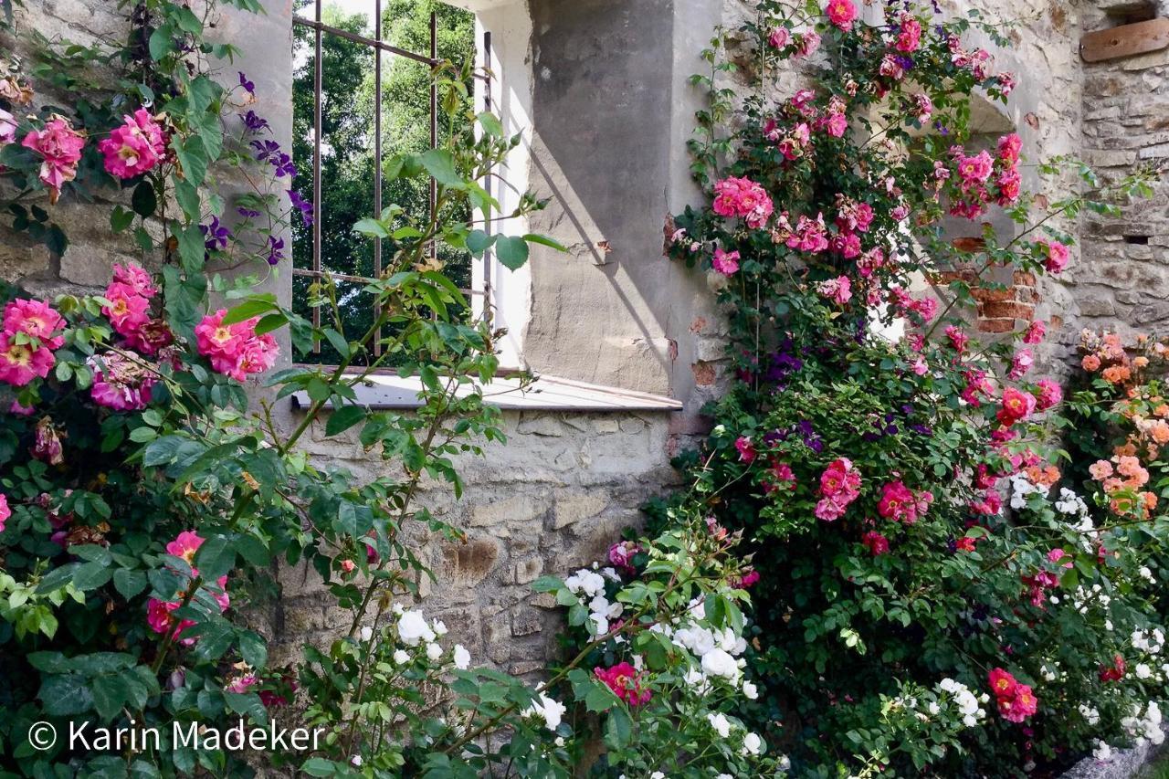 Design Ferienwohnung Mit Bauerngarten Waldkirchen Esterno foto