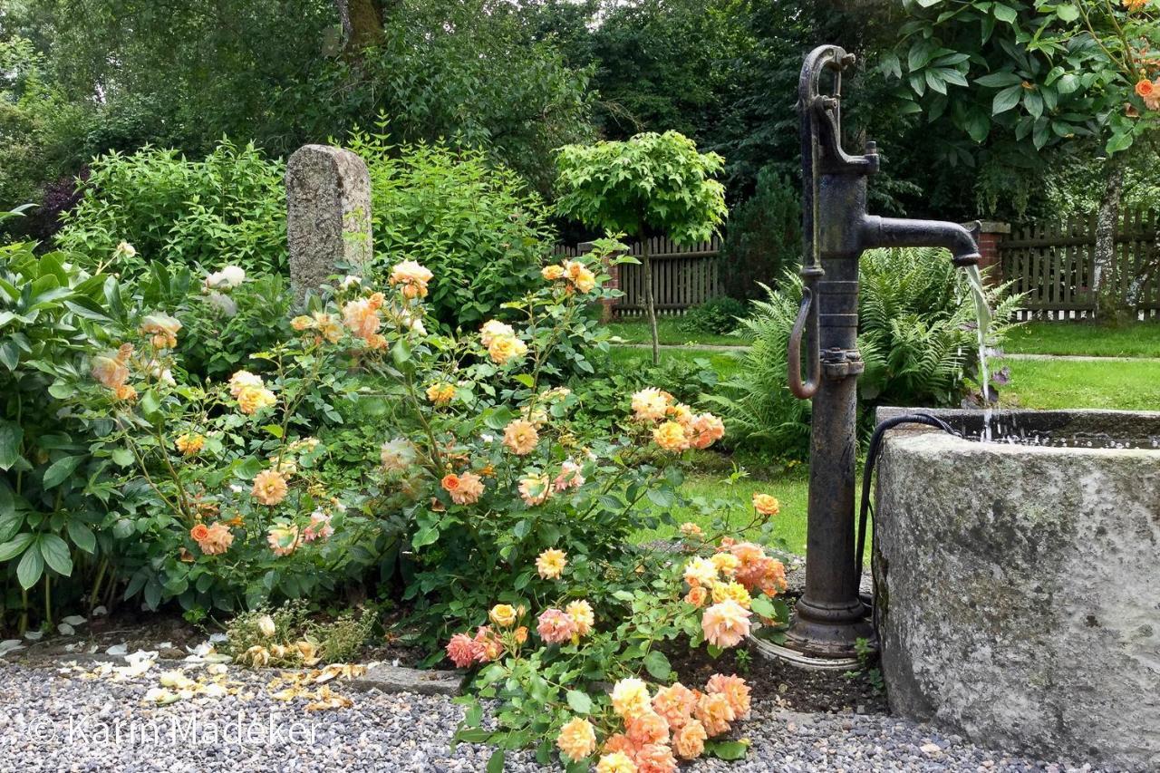 Design Ferienwohnung Mit Bauerngarten Waldkirchen Esterno foto