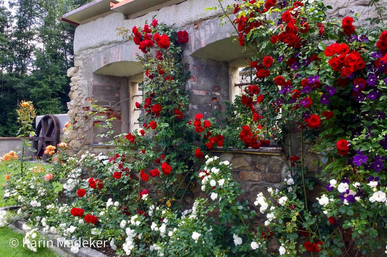 Design Ferienwohnung Mit Bauerngarten Waldkirchen Esterno foto