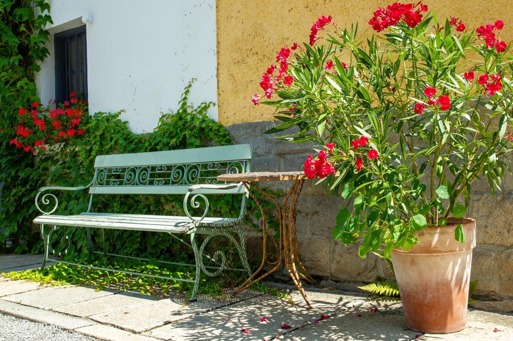 Design Ferienwohnung Mit Bauerngarten Waldkirchen Esterno foto