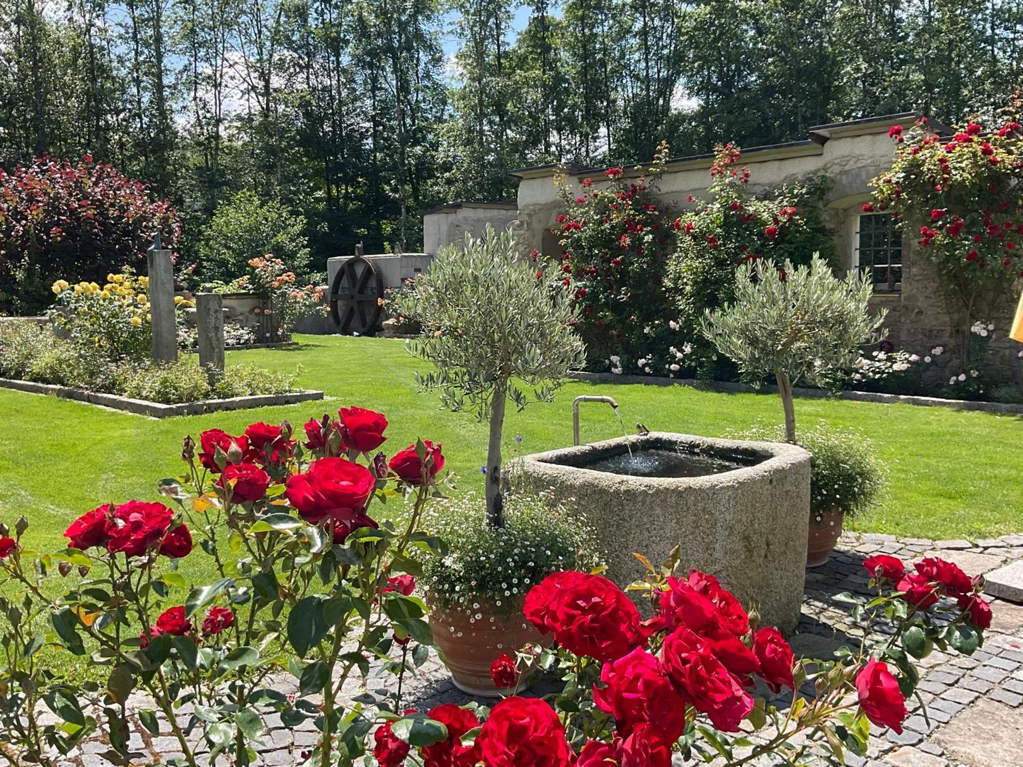Design Ferienwohnung Mit Bauerngarten Waldkirchen Esterno foto